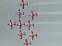 Snowbirds05